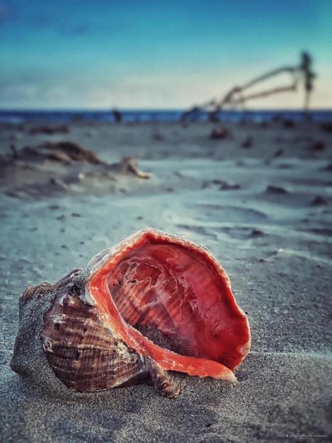 Wave 2 Mamaia Prima Linie Vedere La Mare 120Mp Năvodari Extérieur photo